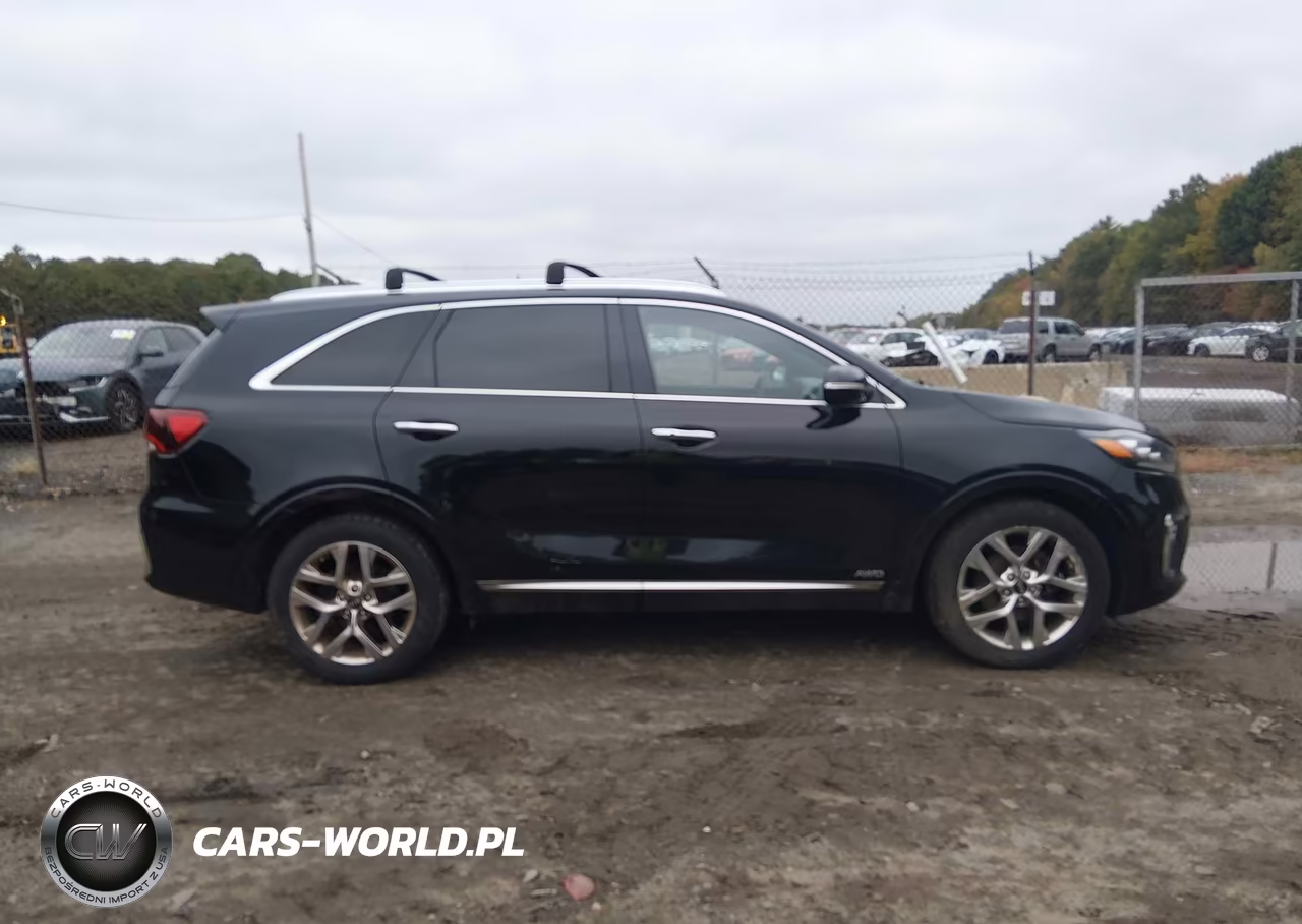 2019 Kia Sorento 3.3L Sxl VIN:5XYPKDA52KG451387 - 13