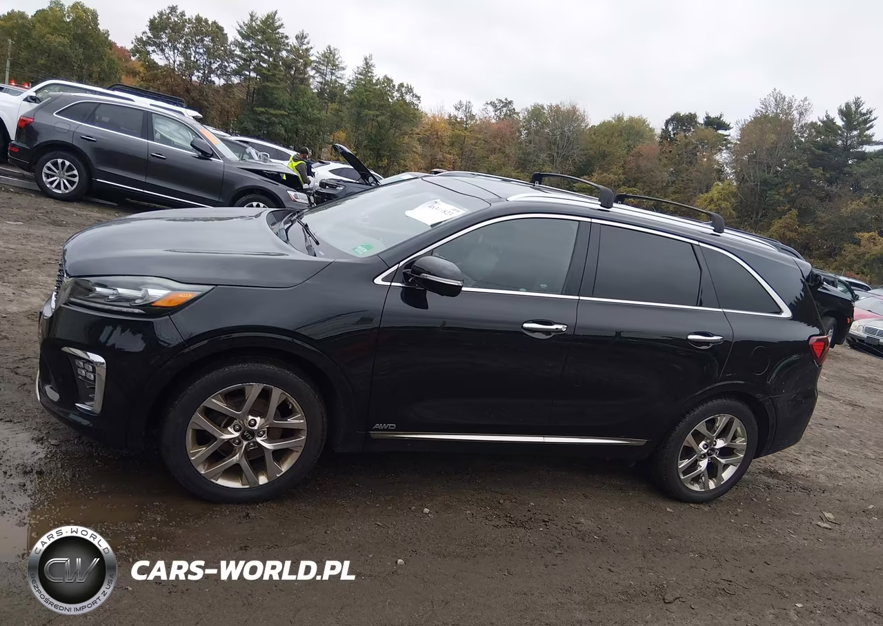2019 Kia Sorento 3.3L Sxl VIN:5XYPKDA52KG451387 - 14