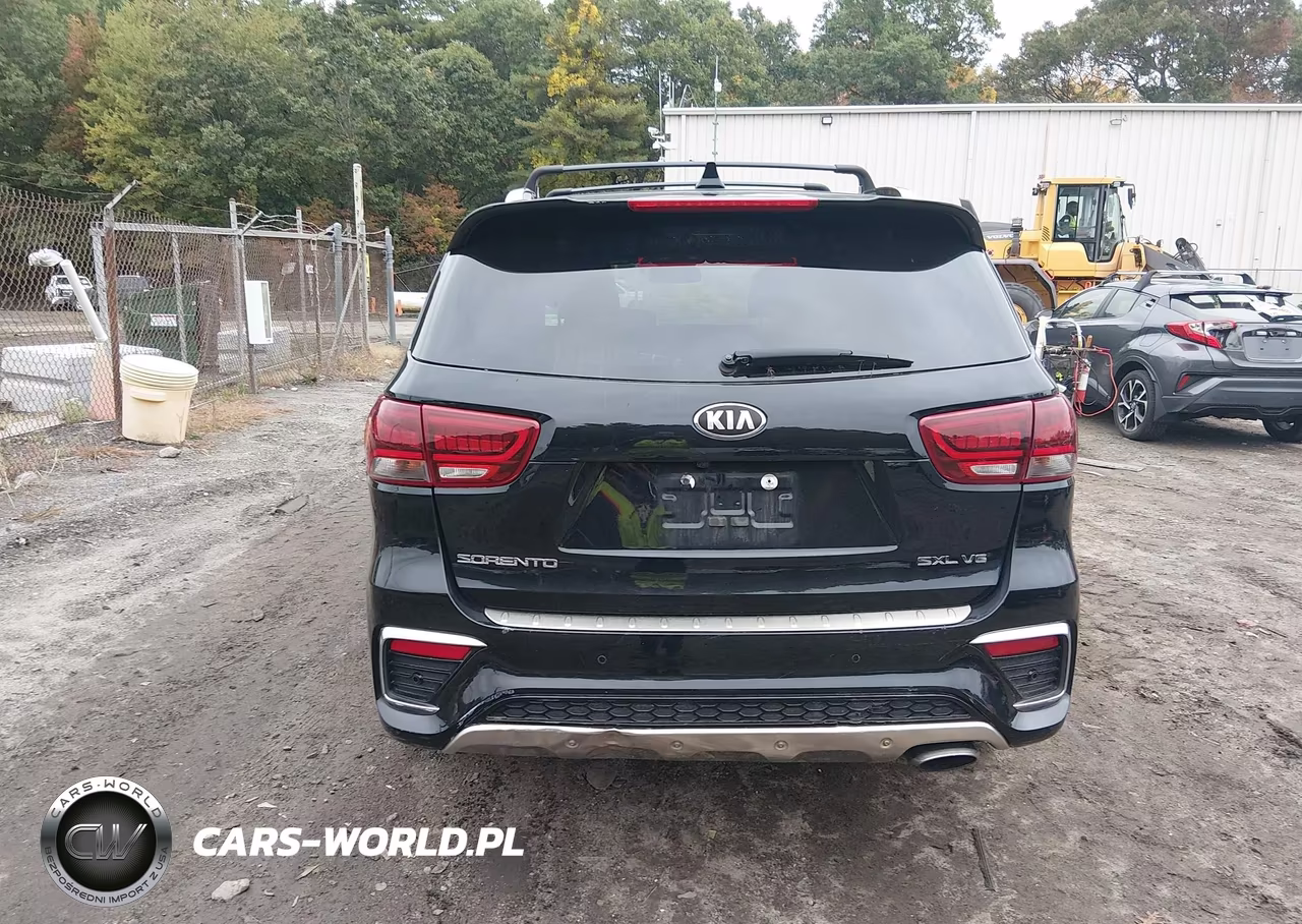 2019 Kia Sorento 3.3L Sxl VIN:5XYPKDA52KG451387 - 16