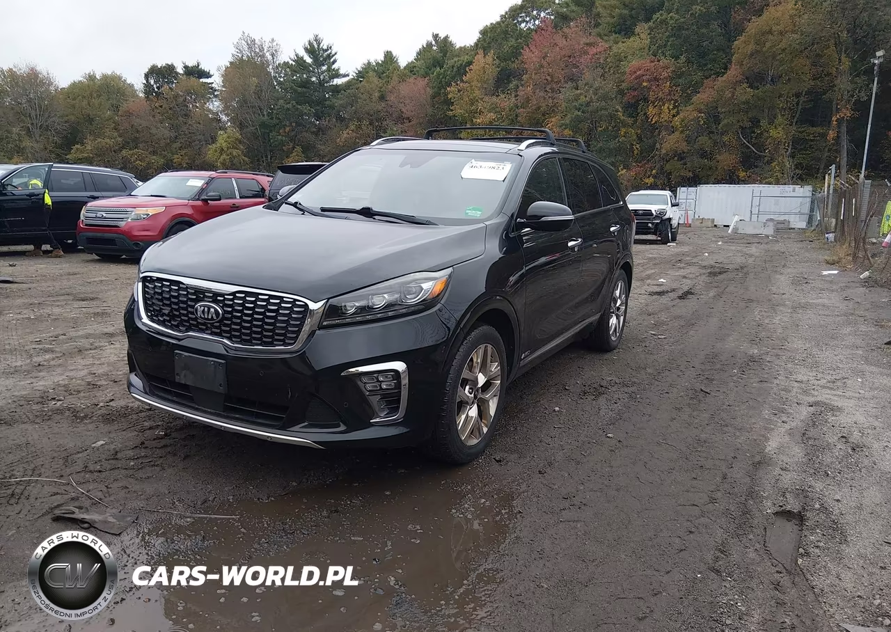 2019 Kia Sorento 3.3L Sxl VIN:5XYPKDA52KG451387 - 2