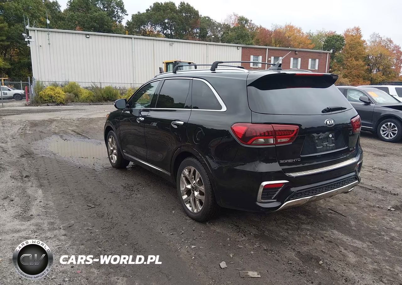 2019 Kia Sorento 3.3L Sxl VIN:5XYPKDA52KG451387 - 3