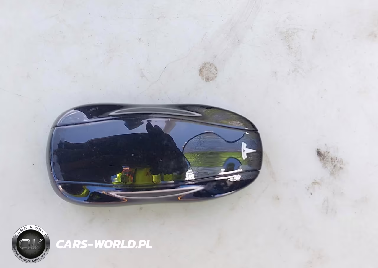 2019 Tesla Model S 100D-75D-Long Range-Standard Range VIN:5YJSA1E24KF304099 - 11