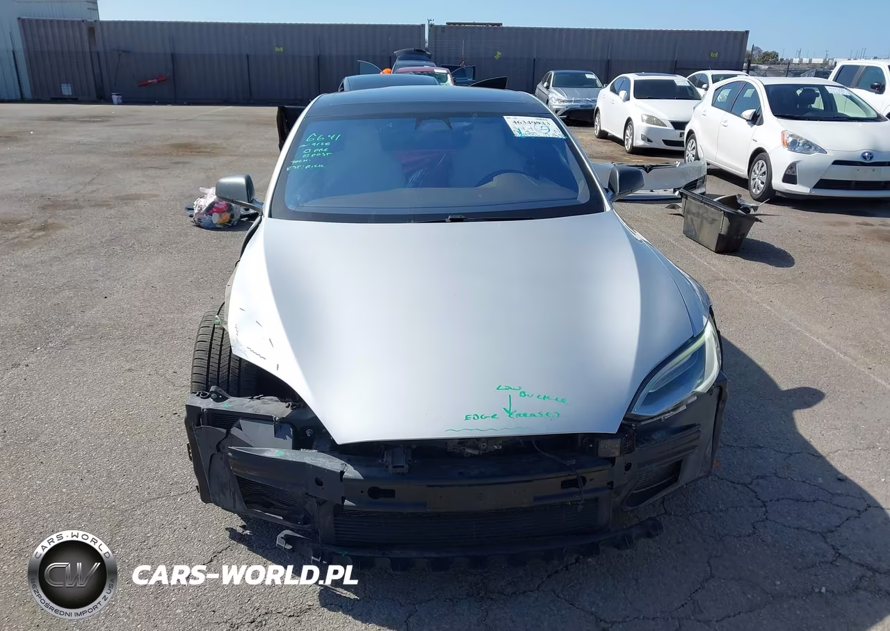 2019 Tesla Model S 100D-75D-Long Range-Standard Range VIN:5YJSA1E24KF304099 - 13