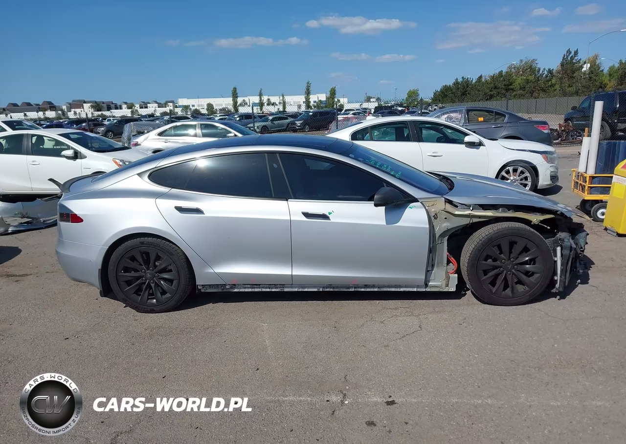 2019 Tesla Model S 100D-75D-Long Range-Standard Range VIN:5YJSA1E24KF304099 - 14
