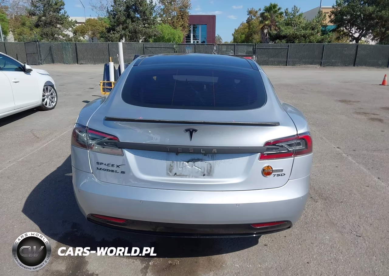 2019 Tesla Model S 100D-75D-Long Range-Standard Range VIN:5YJSA1E24KF304099 - 17