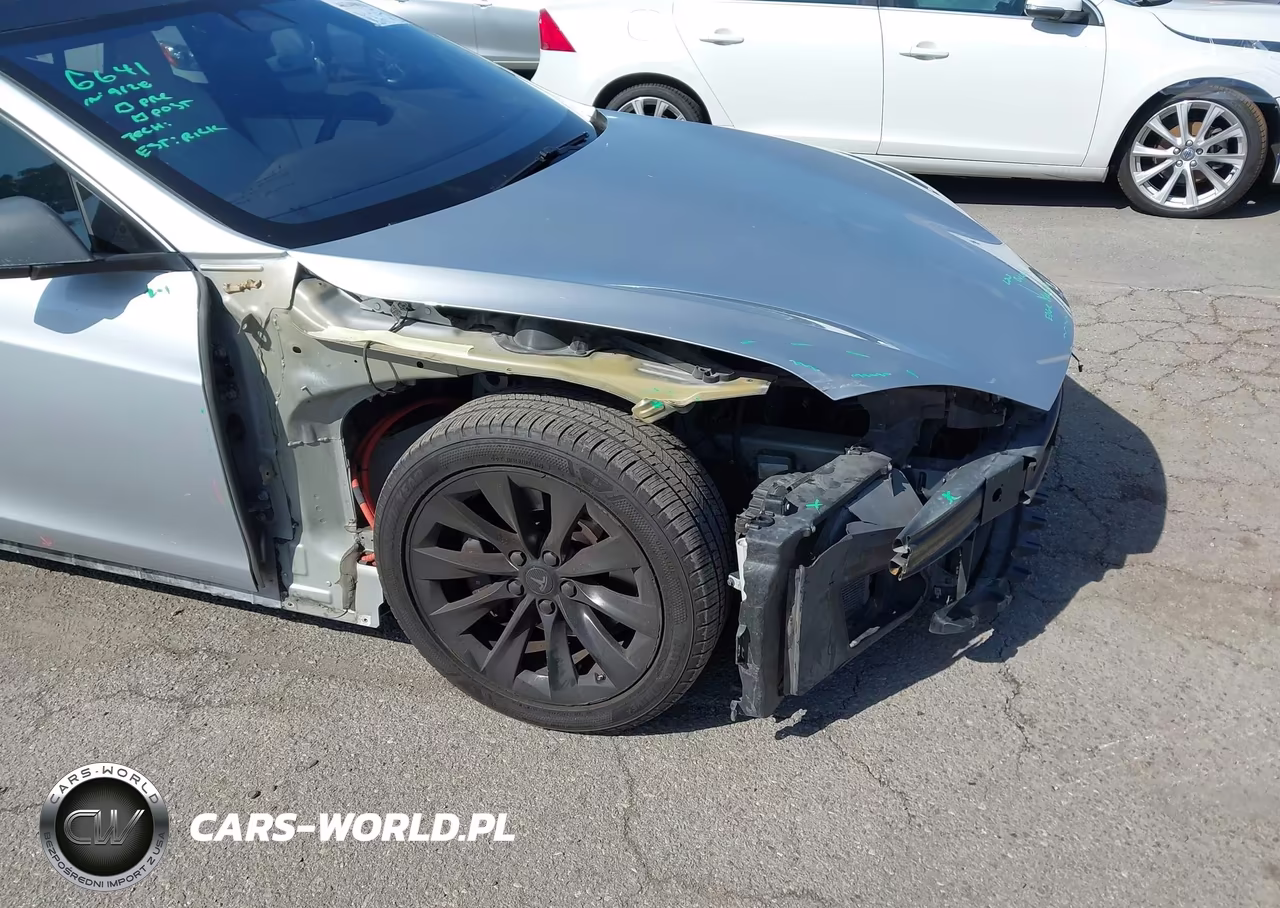 2019 Tesla Model S 100D-75D-Long Range-Standard Range VIN:5YJSA1E24KF304099 - 20
