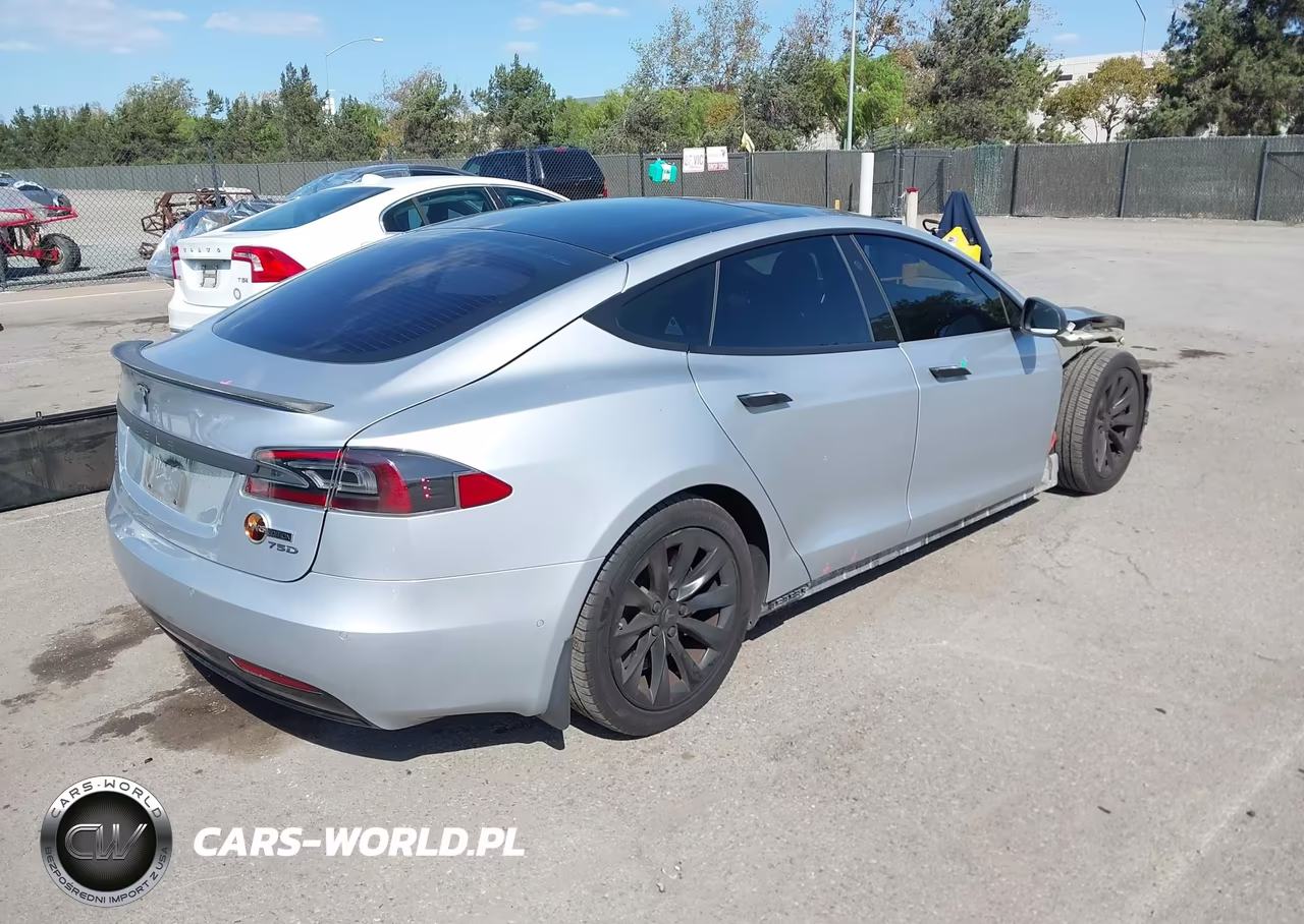 2019 Tesla Model S 100D-75D-Long Range-Standard Range VIN:5YJSA1E24KF304099 - 4