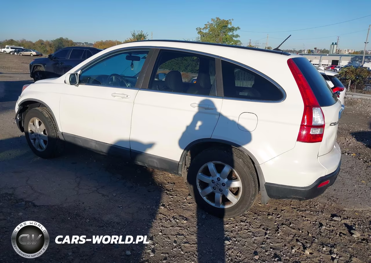 2009 Honda Cr-V Ex-L VIN:5J6RE48799L003258 - 3