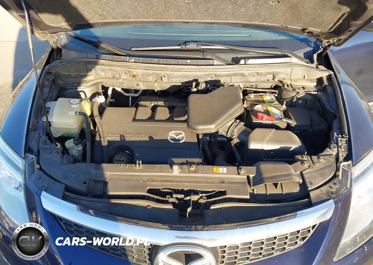 2009 Mazda Cx-9 Grand Touring VIN:JM3TB28V790176244 - 10