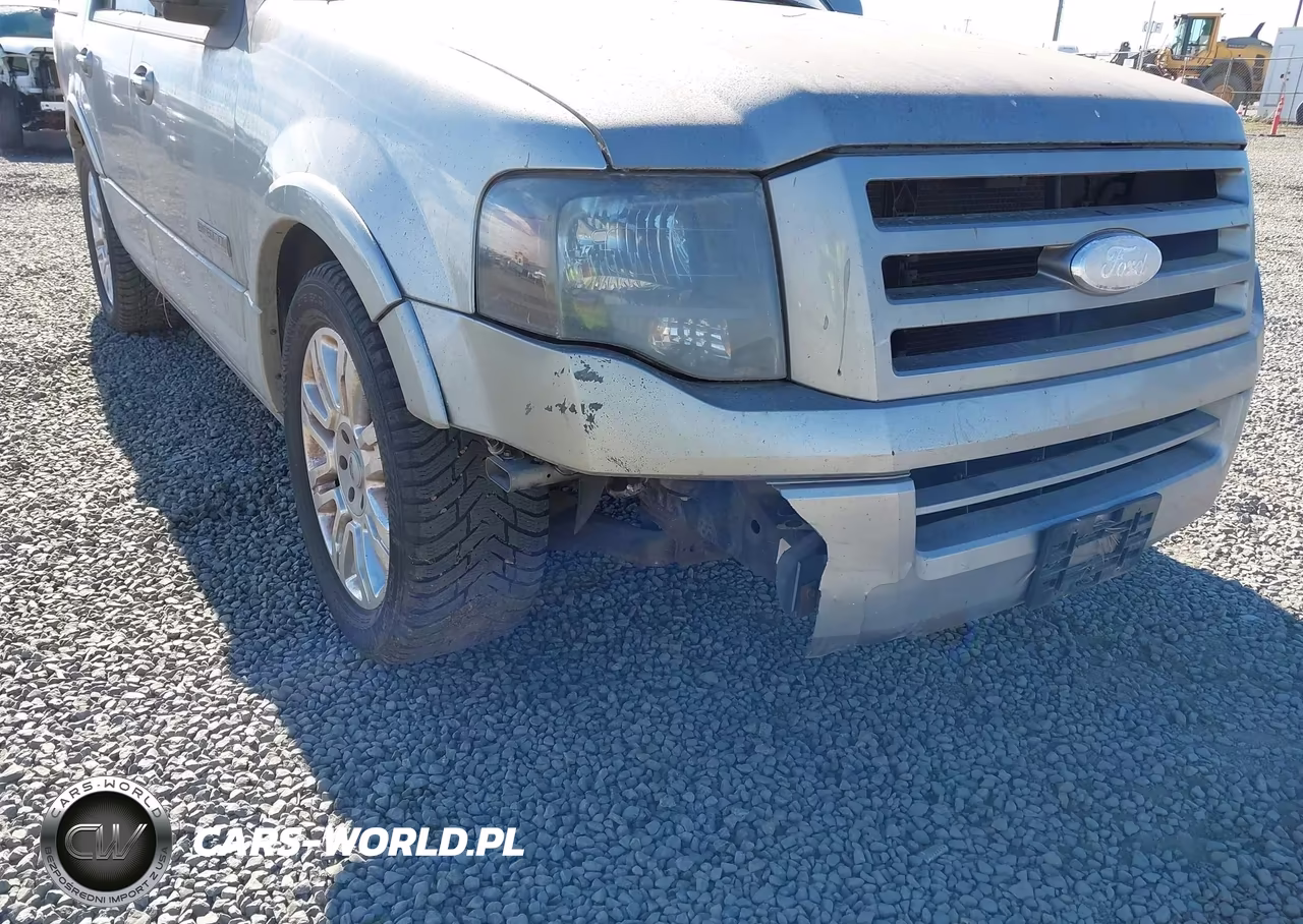 2008 Ford Expedition Limited VIN:1FMFU20558LA46919 - 12