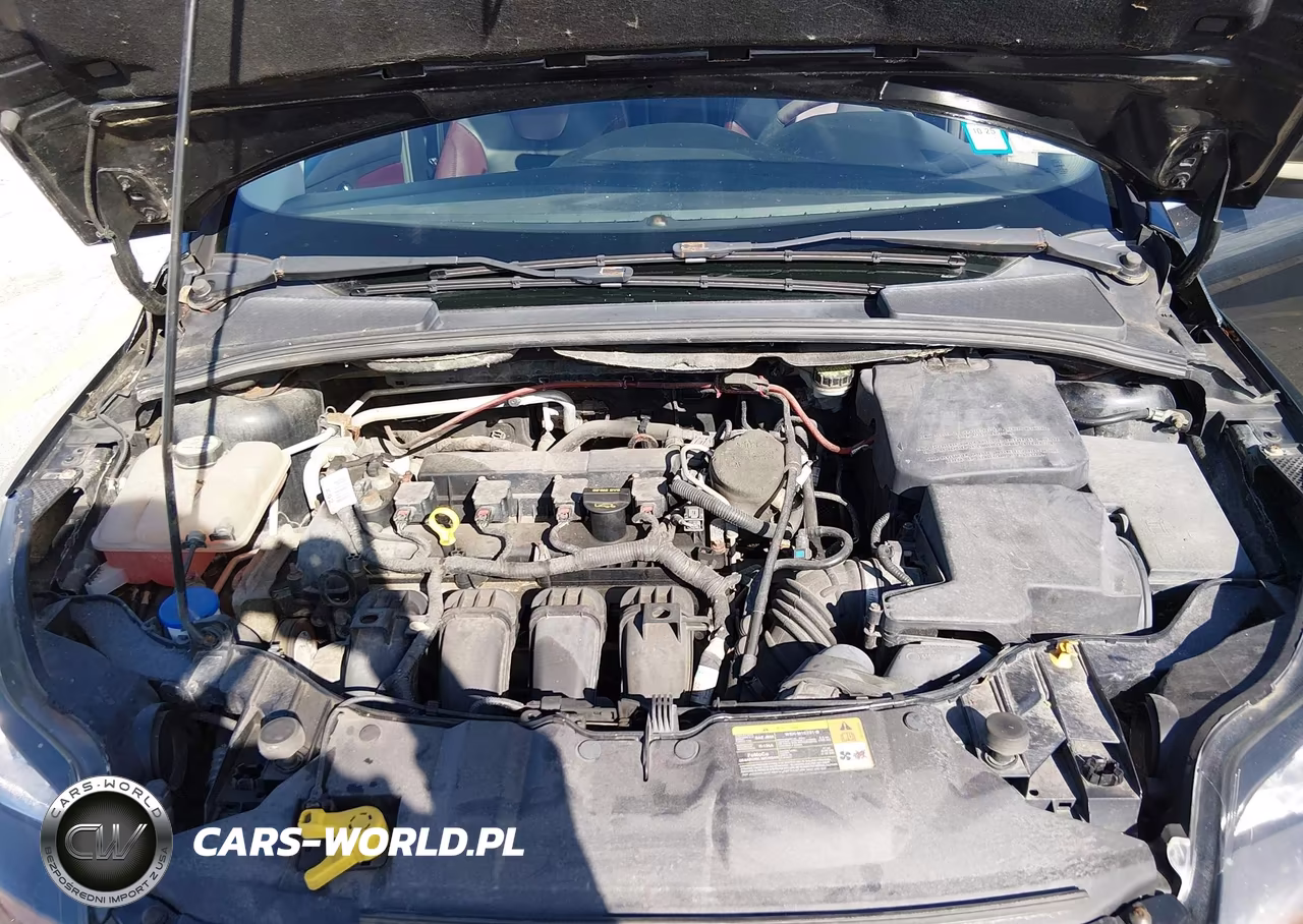 2013 Ford Focus Titanium VIN:1FADP3N21DL198140 - 10