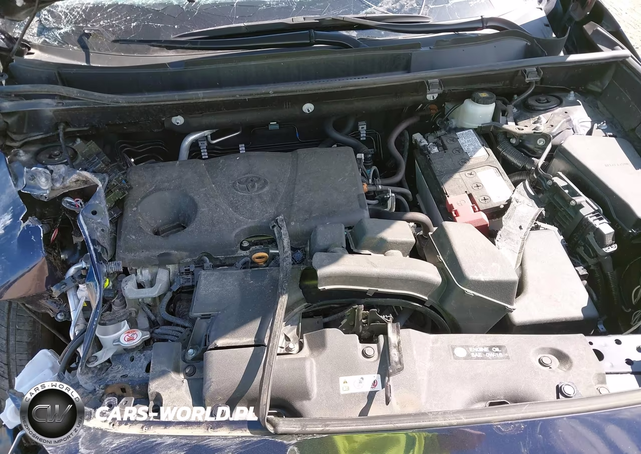 2024 Toyota Rav4 Xle VIN:2T3P1RFV6RW479536 - 10
