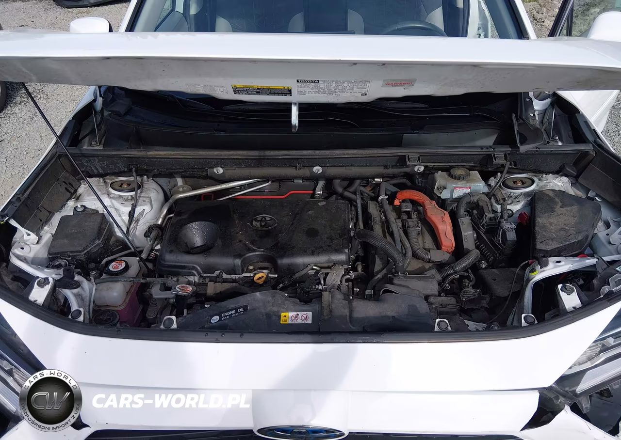 2019 Toyota Rav4 Hybrid Xle VIN:2T3RWRFV2KW010508 - 10
