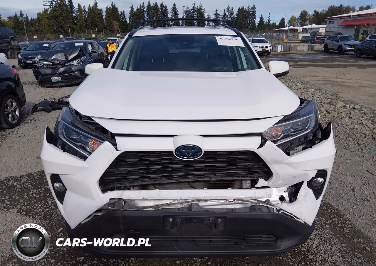 2019 Toyota Rav4 Hybrid Xle VIN:2T3RWRFV2KW010508 - 12