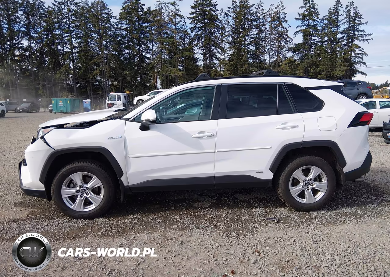 2019 Toyota Rav4 Hybrid Xle VIN:2T3RWRFV2KW010508 - 14