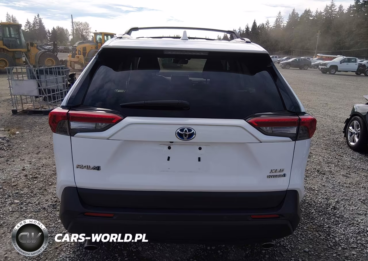 2019 Toyota Rav4 Hybrid Xle VIN:2T3RWRFV2KW010508 - 16