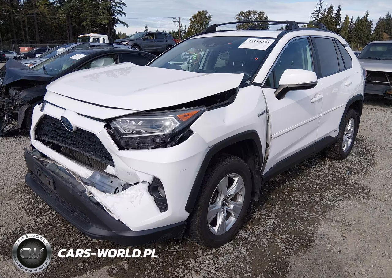2019 Toyota Rav4 Hybrid Xle VIN:2T3RWRFV2KW010508 - 2