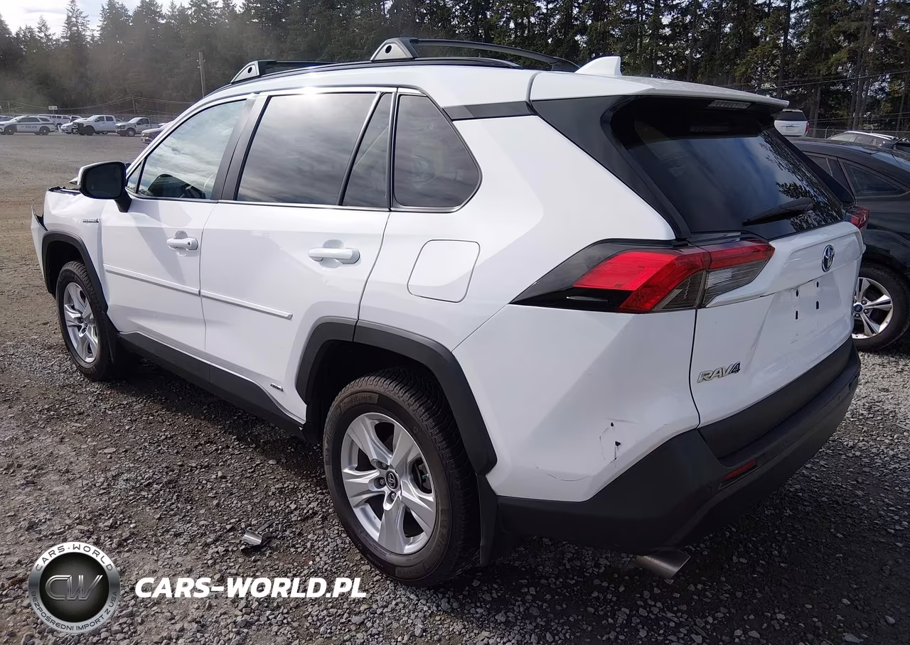 2019 Toyota Rav4 Hybrid Xle VIN:2T3RWRFV2KW010508 - 3