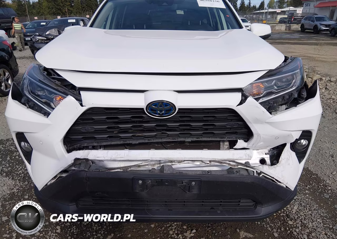 2019 Toyota Rav4 Hybrid Xle VIN:2T3RWRFV2KW010508 - 6