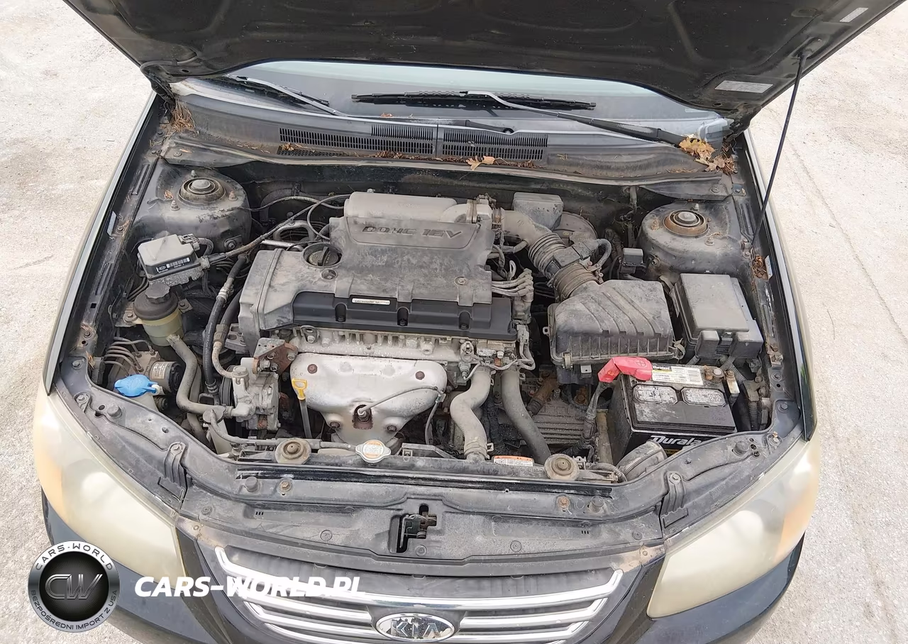 2009 Kia Spectra Ex VIN:KNAFE221995596879 - 10