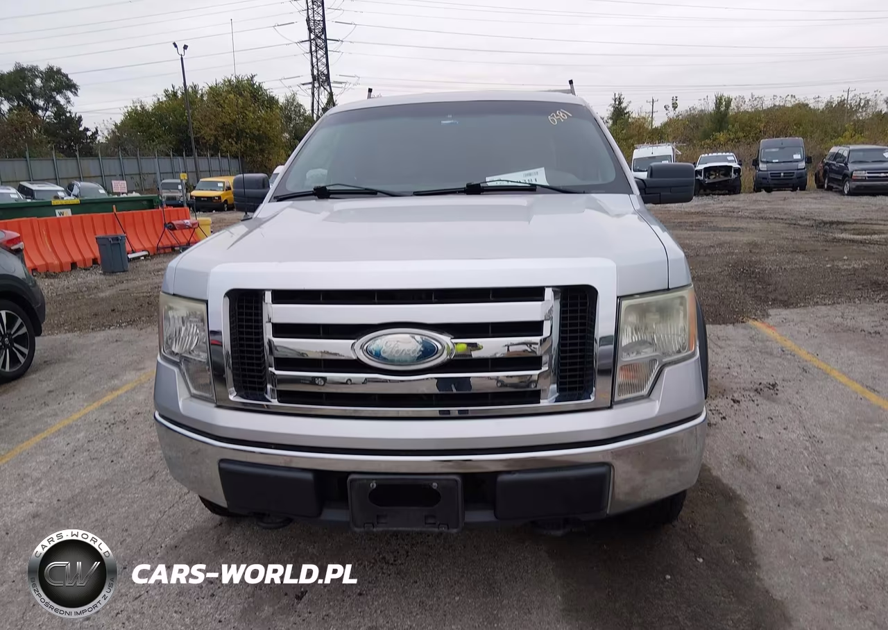 2009 Ford F-150 Xlt VIN:1FTRX14819KB12249 - 12