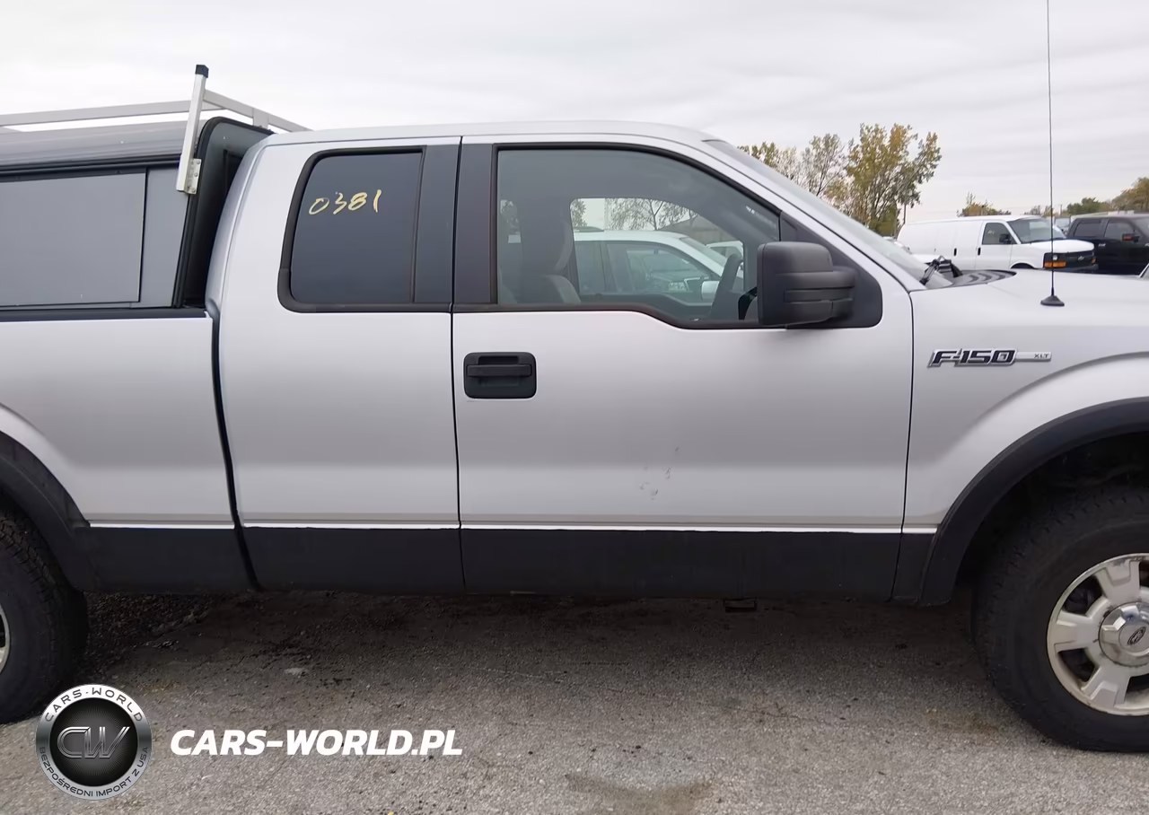 2009 Ford F-150 Xlt VIN:1FTRX14819KB12249 - 13