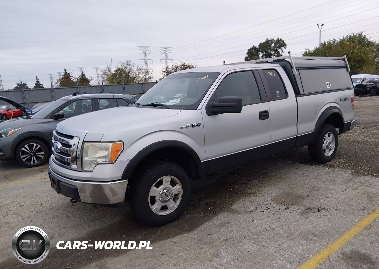 2009 Ford F-150 Xlt VIN:1FTRX14819KB12249 - 2