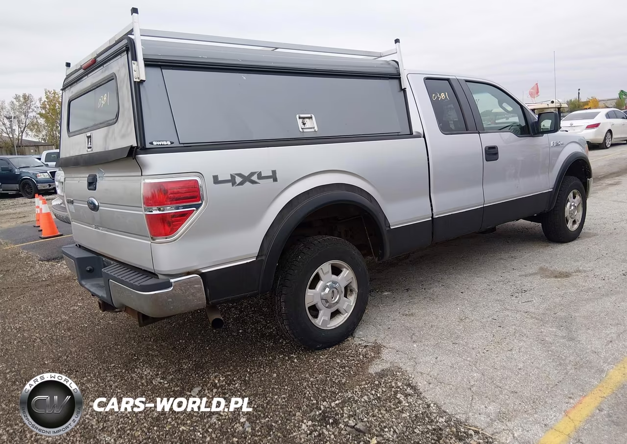 2009 Ford F-150 Xlt VIN:1FTRX14819KB12249 - 4