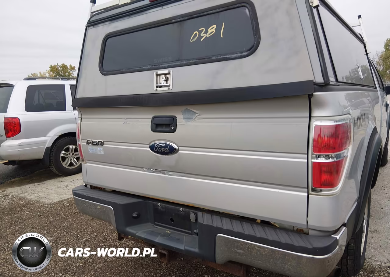 2009 Ford F-150 Xlt VIN:1FTRX14819KB12249 - 6
