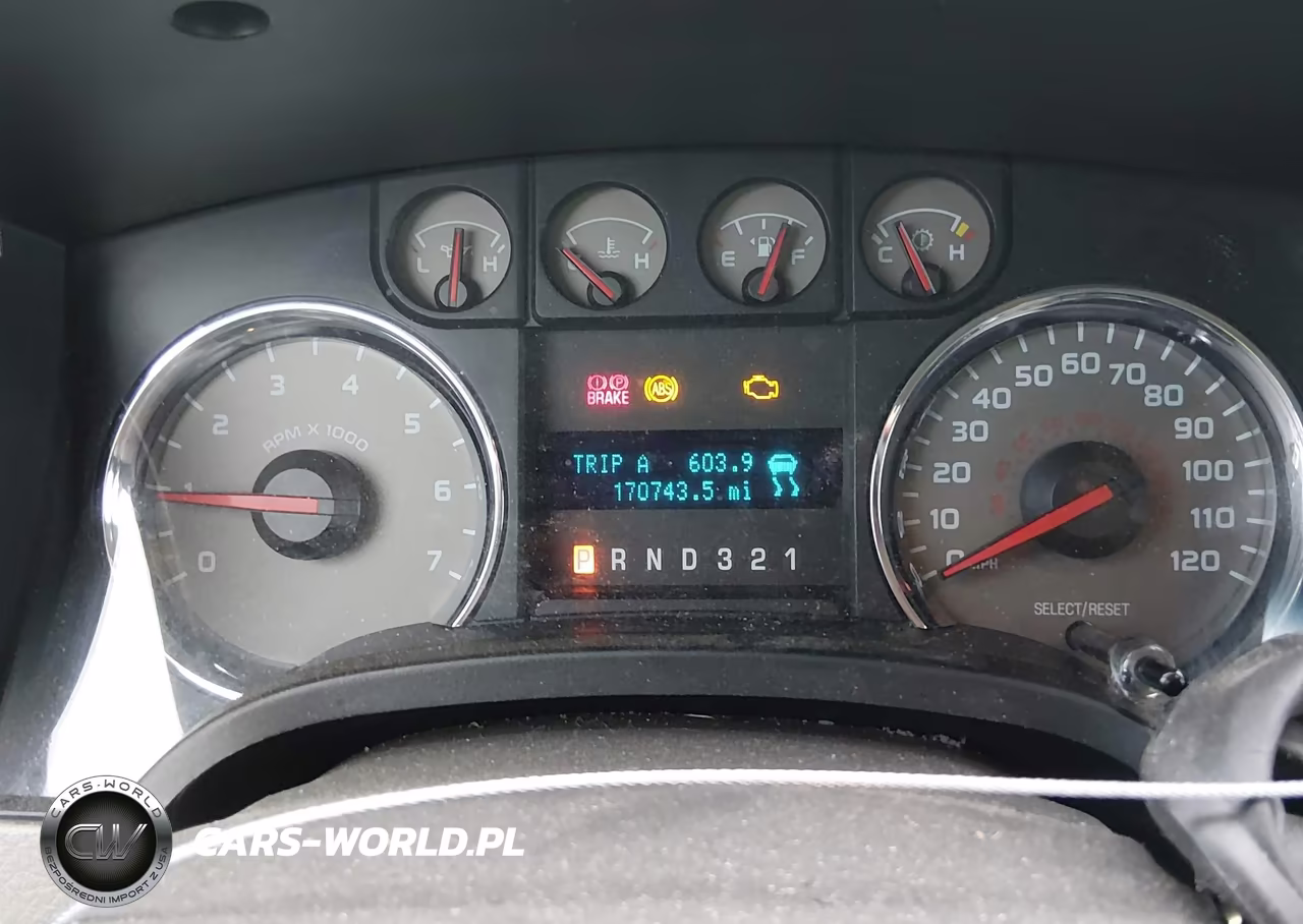 2009 Ford F-150 Xlt VIN:1FTRX14819KB12249 - 7