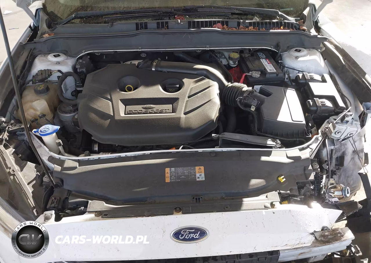 2013 Ford Fusion Se VIN:3FA6P0H98DR255323 - 10
