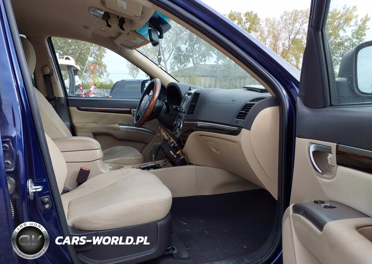 2010 Hyundai Santa Fe Gls VIN:5NMSGDAB3AH404360 - 5