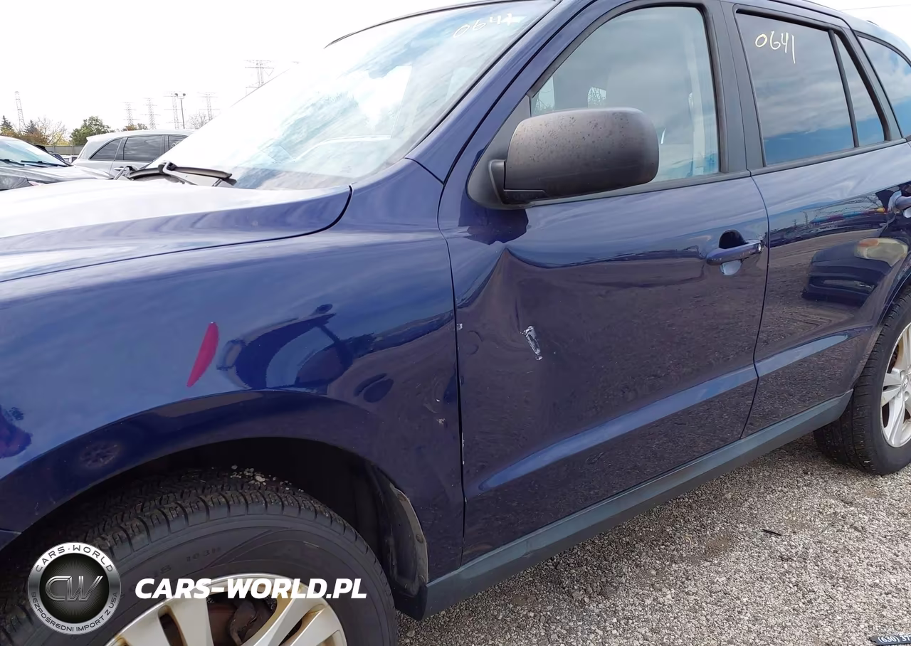 2010 Hyundai Santa Fe Gls VIN:5NMSGDAB3AH404360 - 6