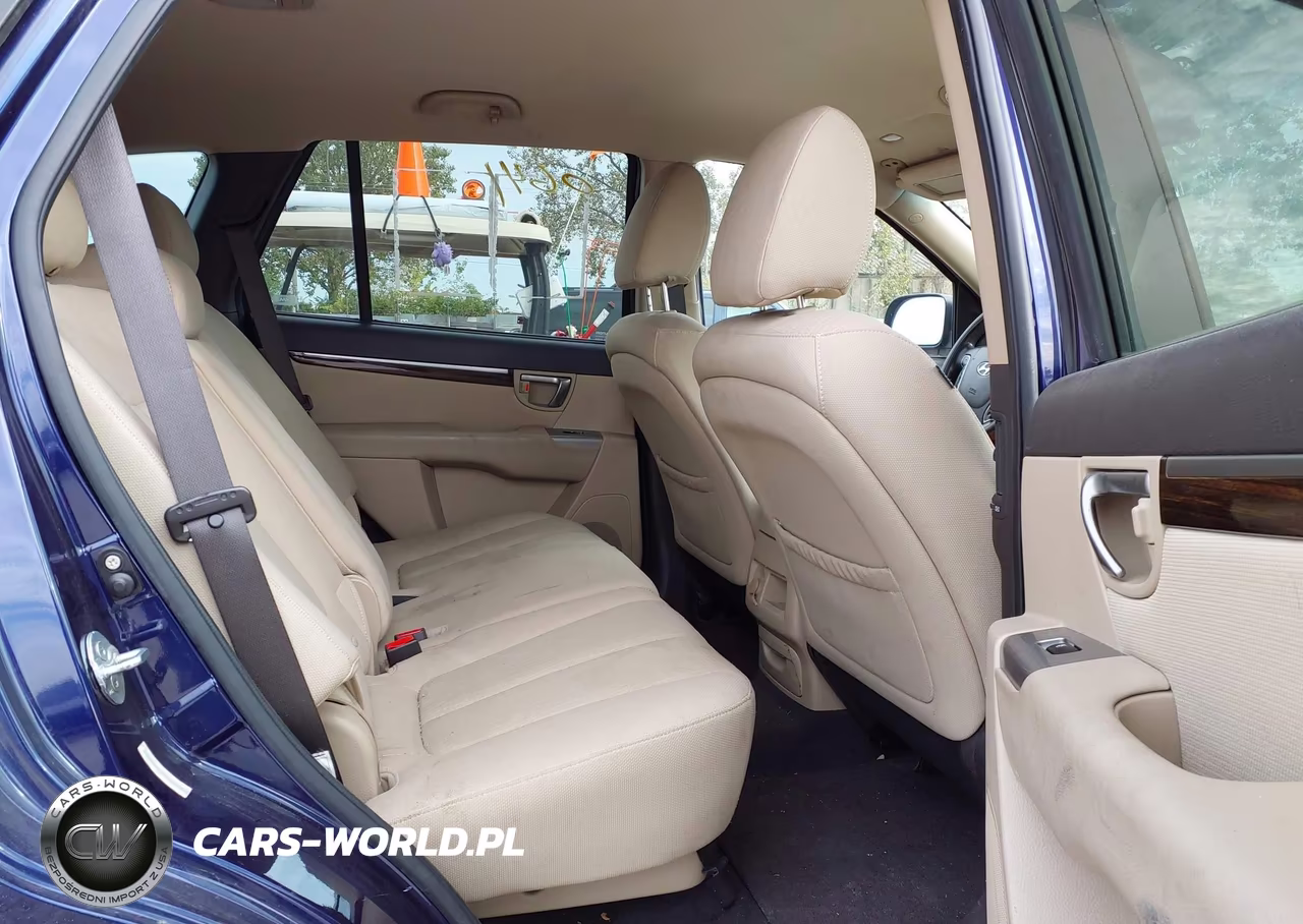 2010 Hyundai Santa Fe Gls VIN:5NMSGDAB3AH404360 - 8