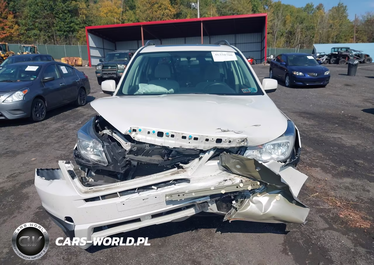 2018 Subaru Forester 2.5I Premium VIN:JF2SJAEC4JH537733 - 12