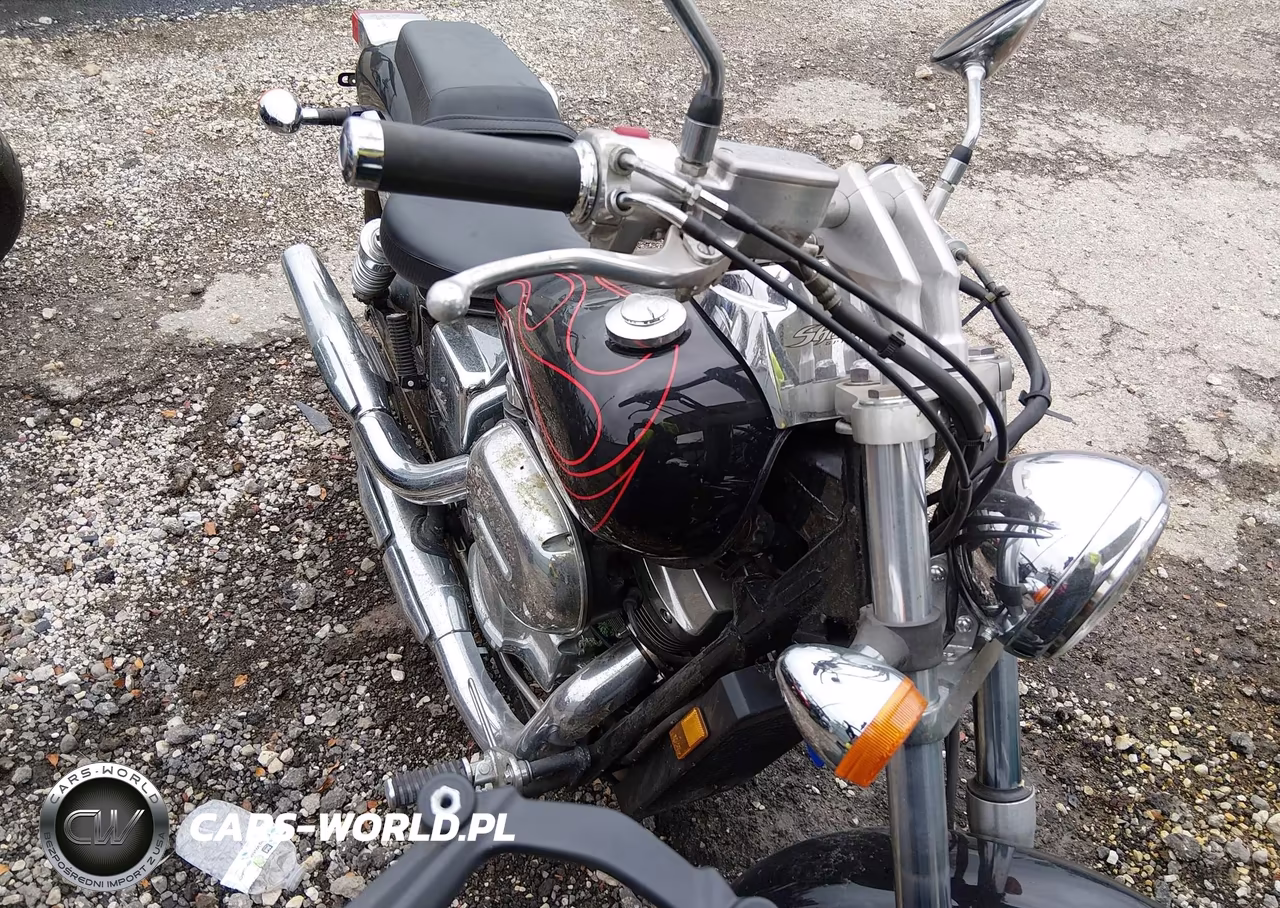 2007 Honda Vt750 Dc