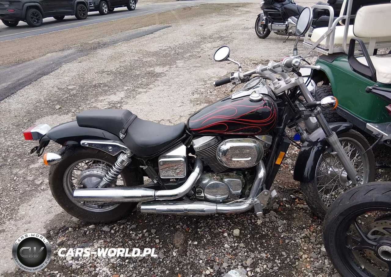 2007 Honda Vt750 Dc VIN:JH2RC44447M100633 - 12