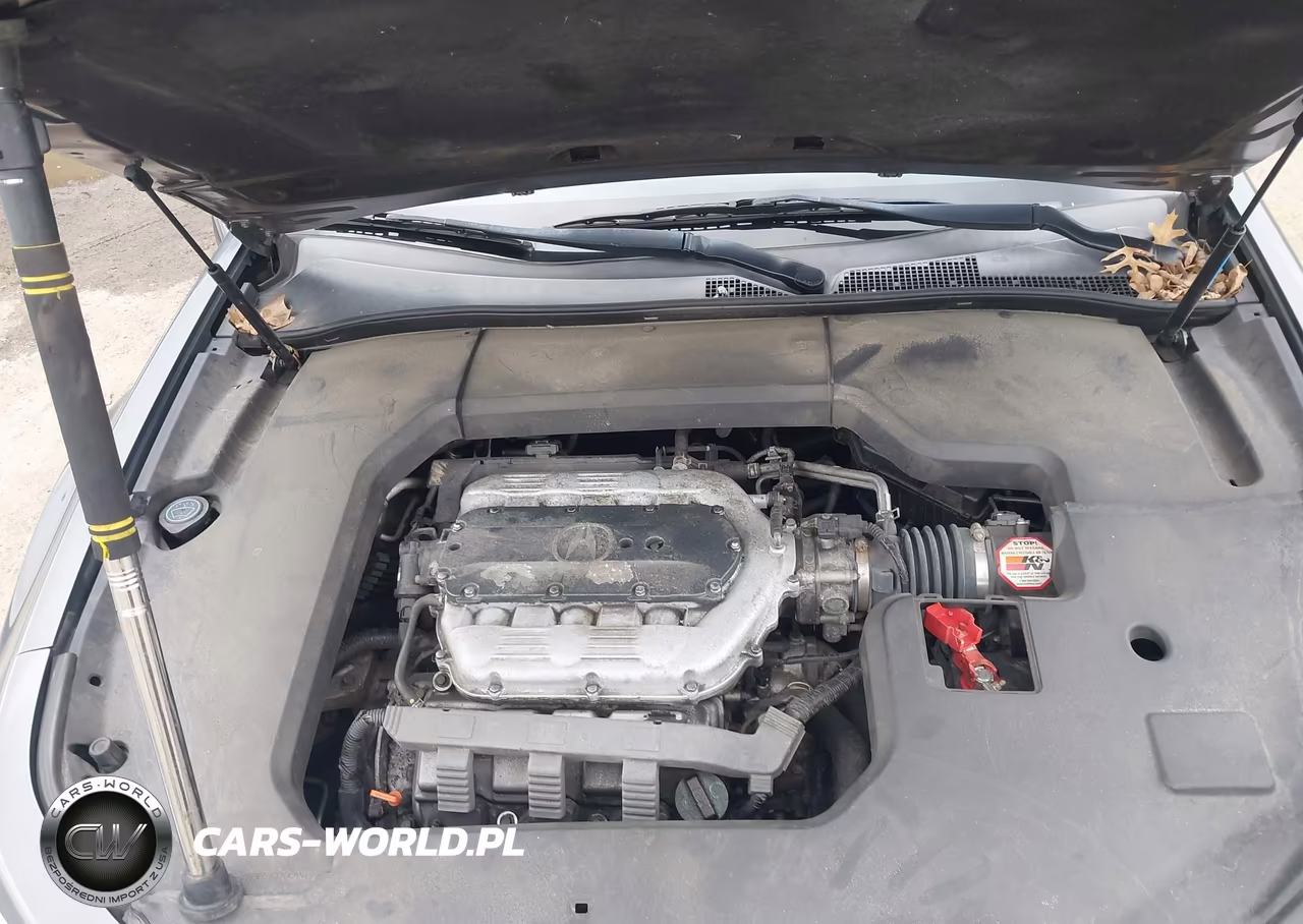 2009 Acura Tl 3.5 VIN:19UUA86249A024526 - 10