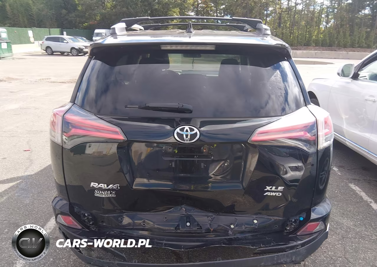 2018 Toyota Rav4 Xle VIN:2T3RFREV9JW834196 - 16
