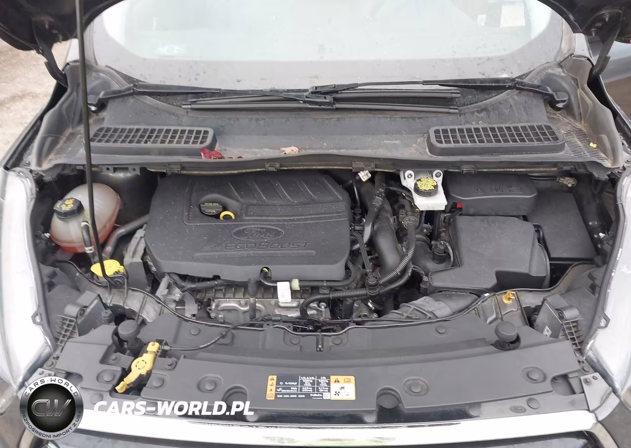 2017 Ford Escape Se VIN:1FMCU0GD4HUB66015 - 10