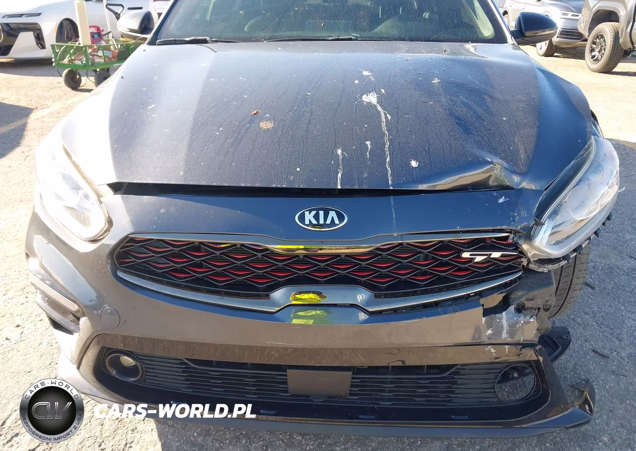2021 Kia Forte Gt VIN:3KPF44AC3ME332946 - 12