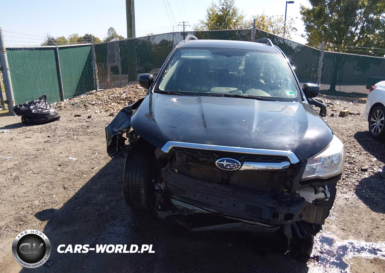 2017 Subaru Forester 2.5I Limited VIN:JF2SJAJC9HH415210 - 13
