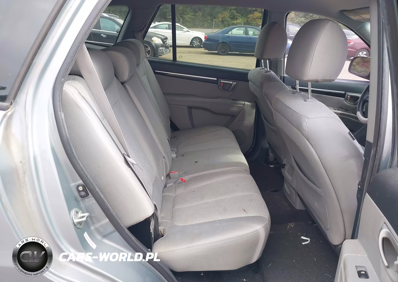 2009 Hyundai Santa Fe Gls VIN:5NMSG13D79H249398 - 8