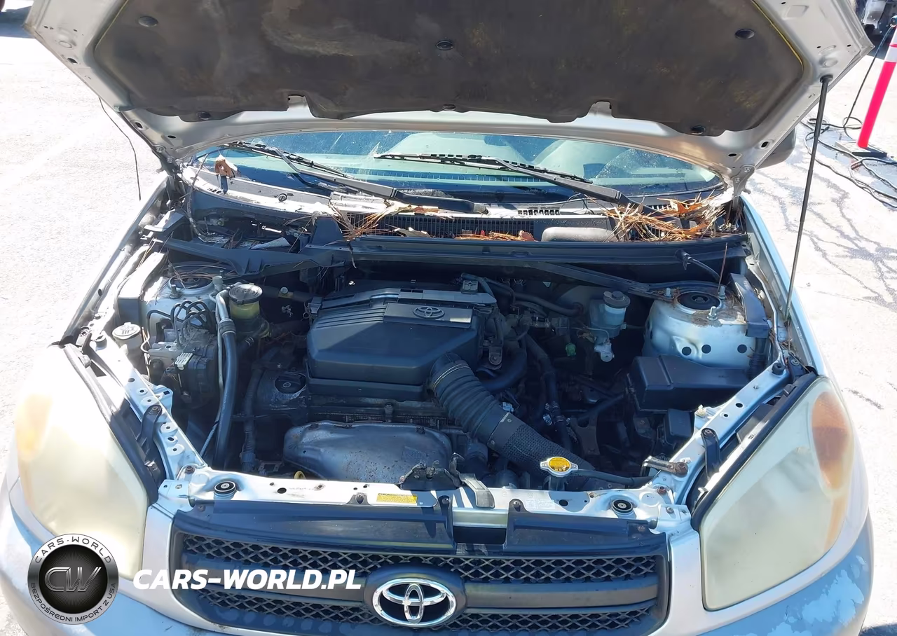 2004 Toyota Rav4 VIN:JTEHD20V040015291 - 10