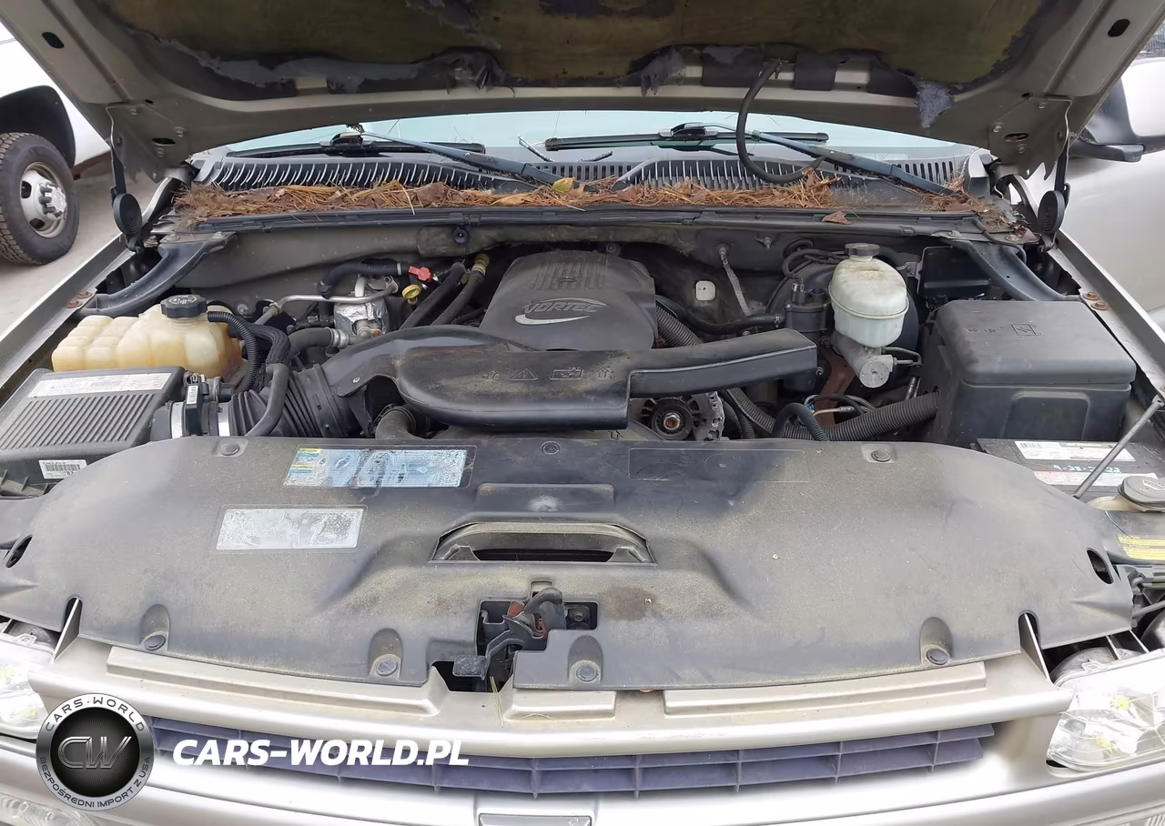 2003 Chevrolet Suburban 1500 Z71 VIN:3GNFK16Z23G251996 - 10