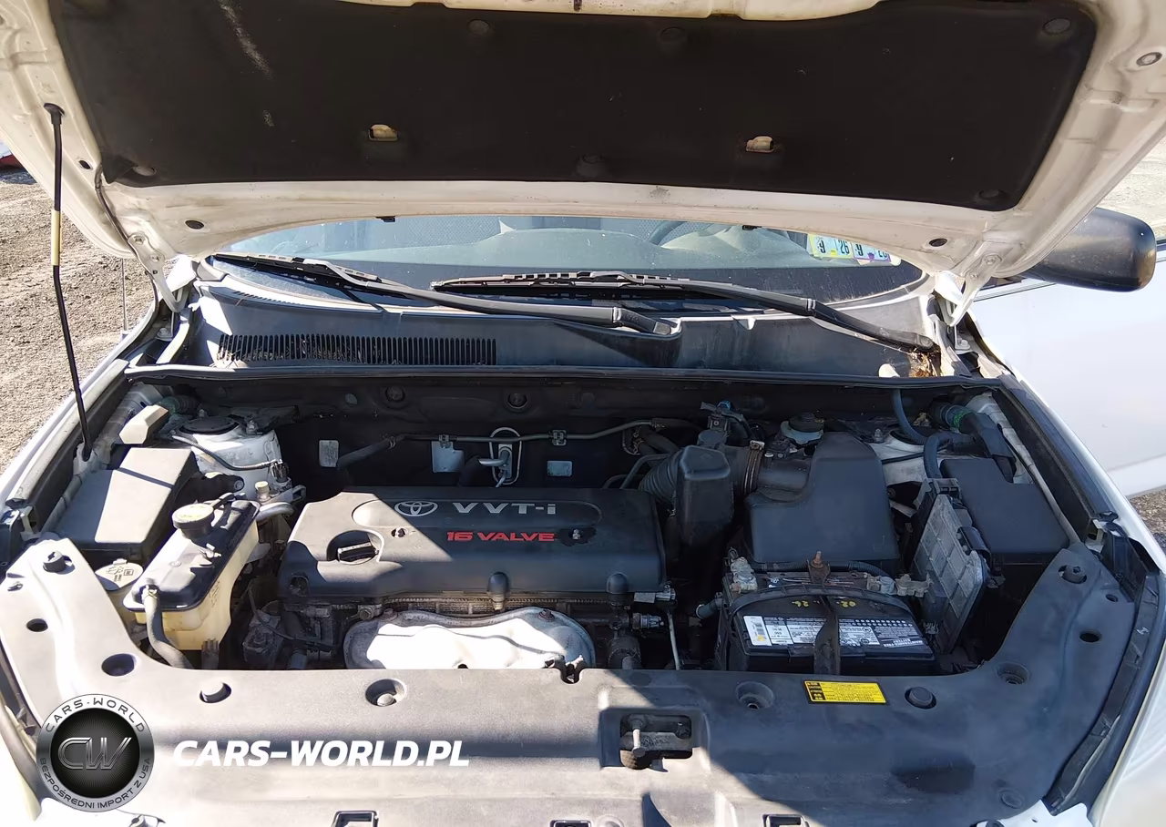 2008 Toyota Rav4 VIN:JTMBD33V085196865 - 10