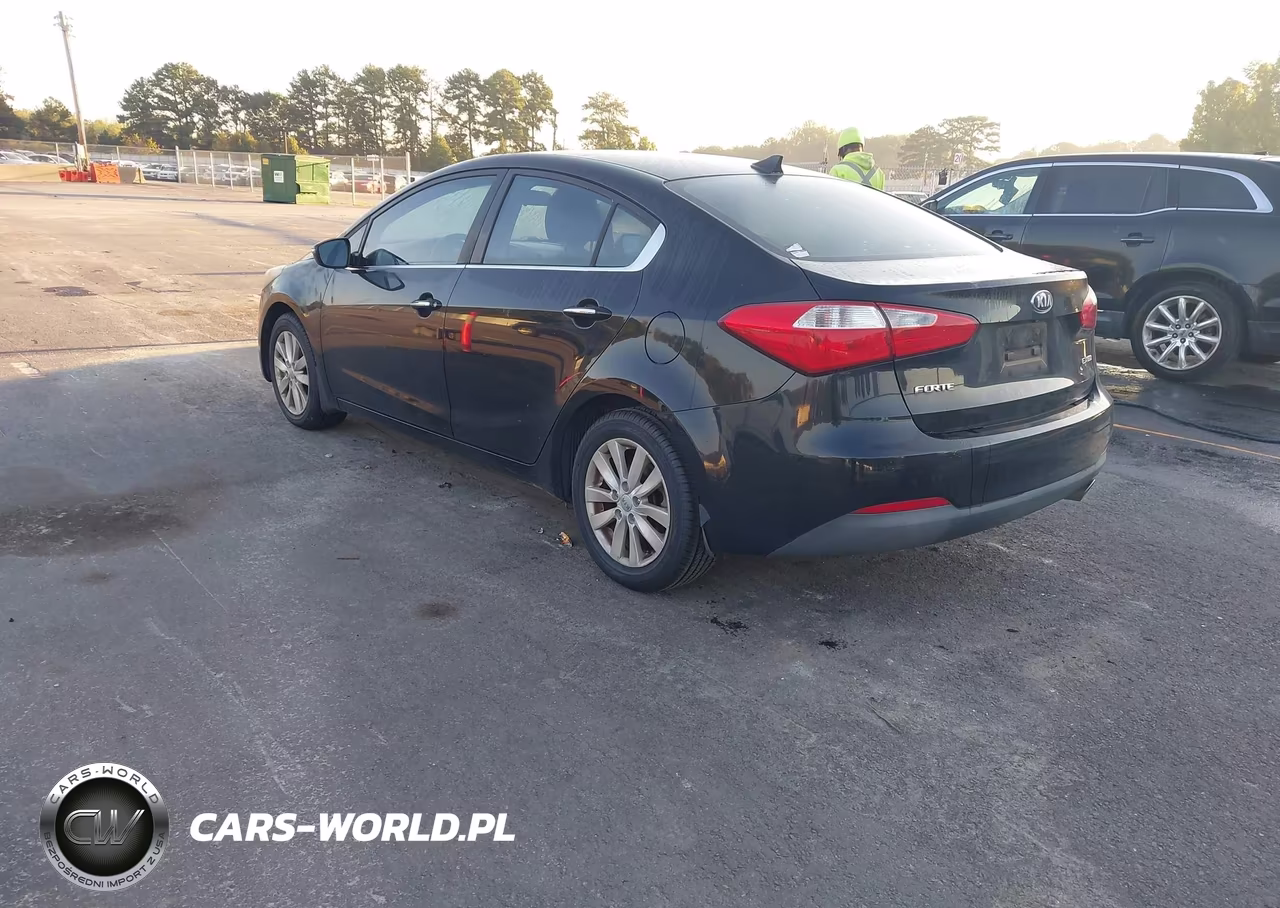 2014 Kia Forte Ex VIN:KNAFX4A88E5047916 - 3