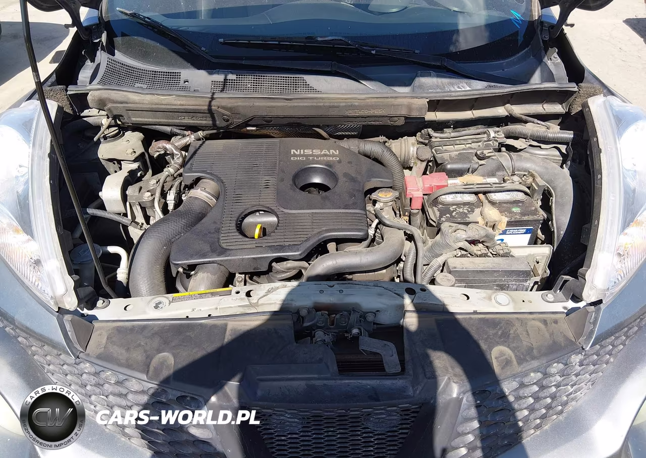 2011 Nissan Juke Sl VIN:JN8AF5MV4BT020098 - 10
