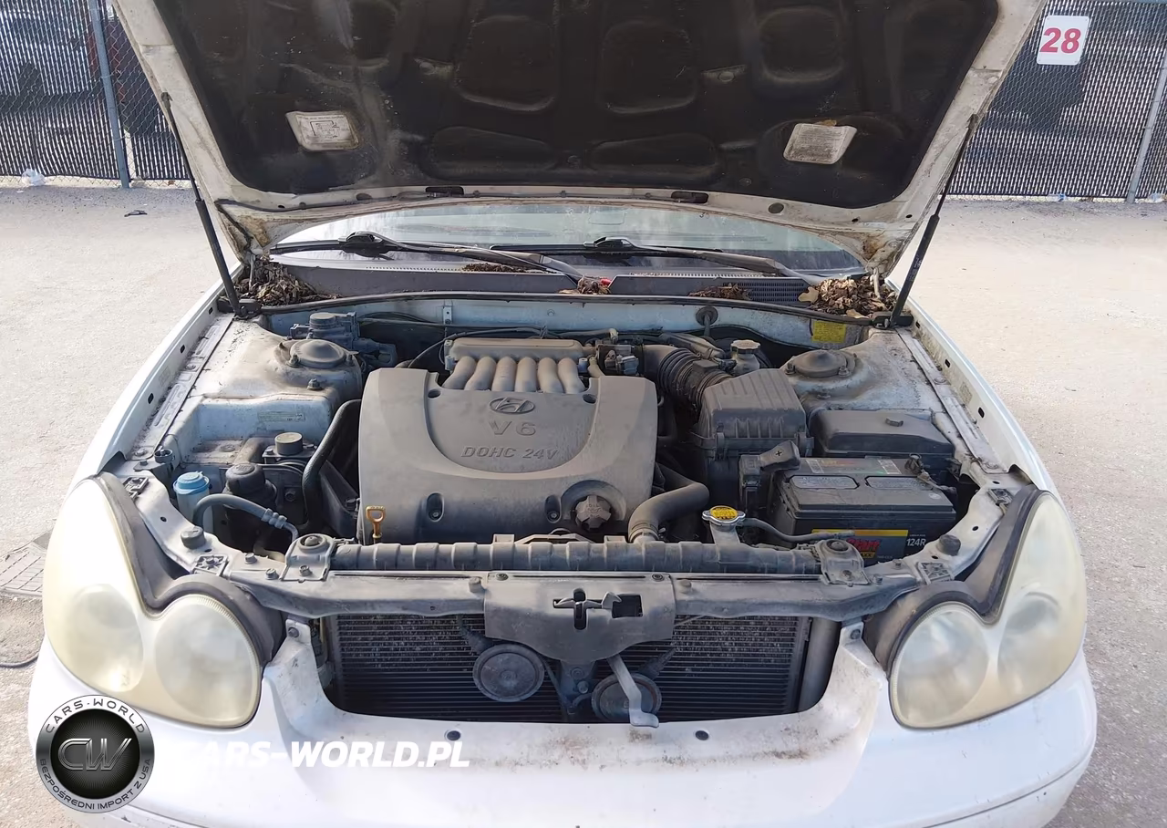 2004 Hyundai Sonata VIN:KMHWF25HX4A086481 - 10