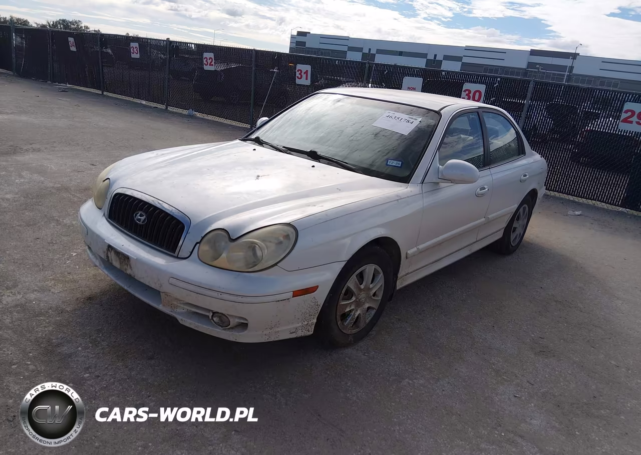 2004 Hyundai Sonata VIN:KMHWF25HX4A086481 - 2